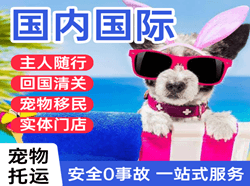 东营胜利航空物流国际宠物托运 【国